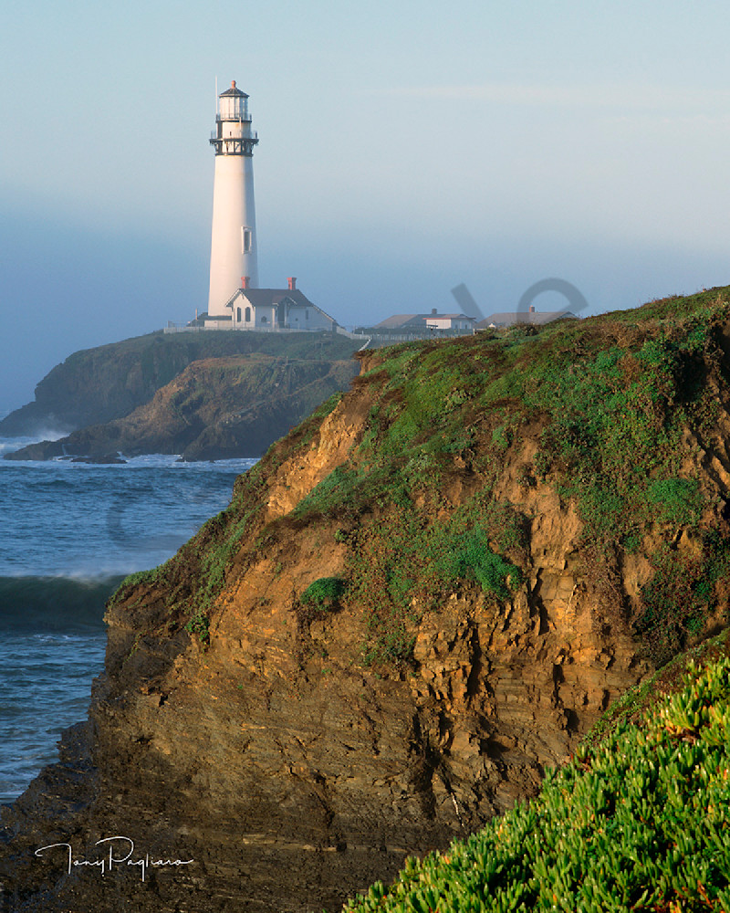 Pigeon Point Lighthouse In Fog Art | Tony Pagliaro Gallery