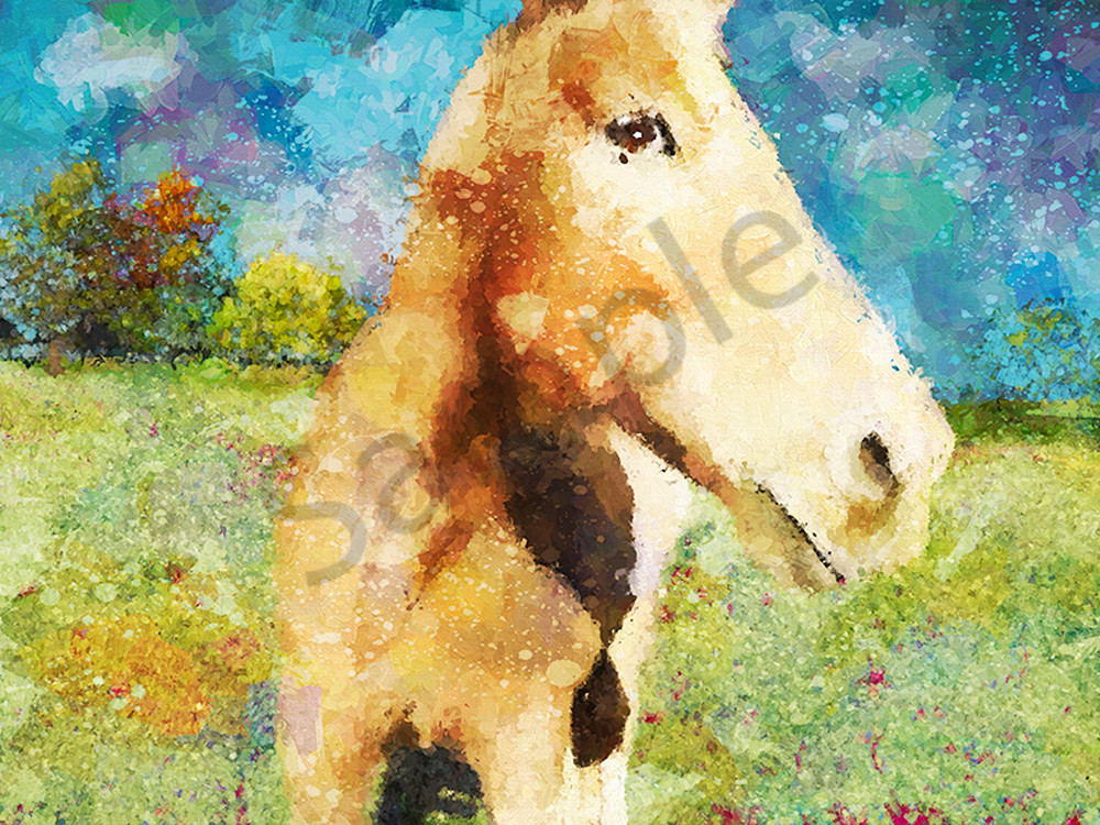 "Painted Pony" Art | Digital Arts Studio / Fine Art Marketplace