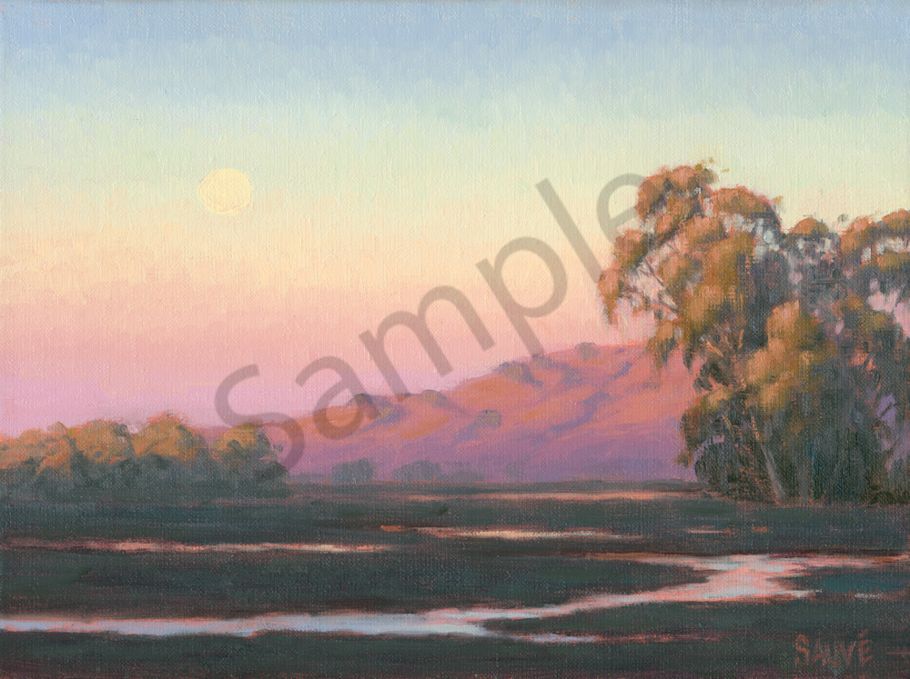 Wetland Moonrise Art | Terry Sauve Fine Art 