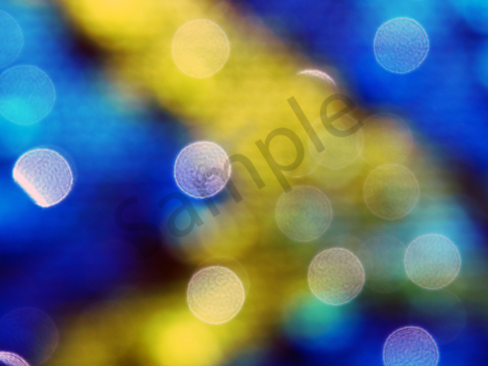 First Sight of First Sight - Photograph | Dewey Mann Art. Limited Edition Collection Photography by Artist Photographer Dewey Mann, Denver Colorado!