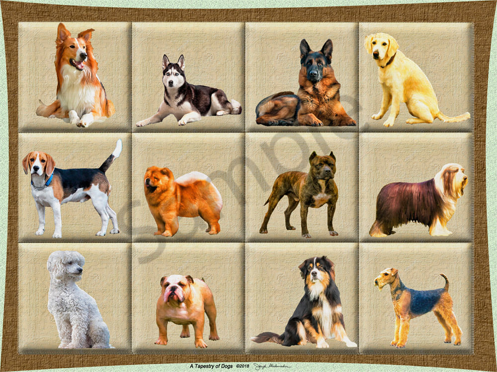 A Tapestry of Dogs