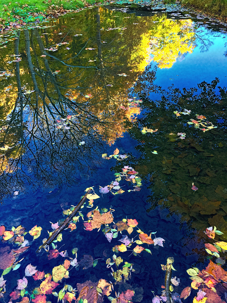 Autumn Pond Reflection|Fine Art Photography by Todd Breitling|Landscape Photography|Todd Breitling Art|