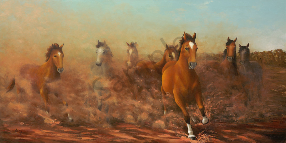 Brumby Dust Brumby Dust