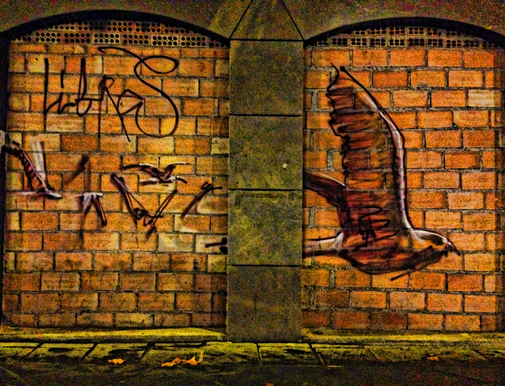 Libras In Flight|Fine Art Photography by Todd Breitling|Graffiti and Street Photography|Todd Breitling Art