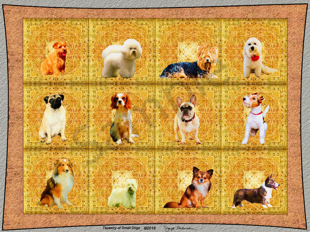 Dog Art On Canvas - The Gallery Wrap Store