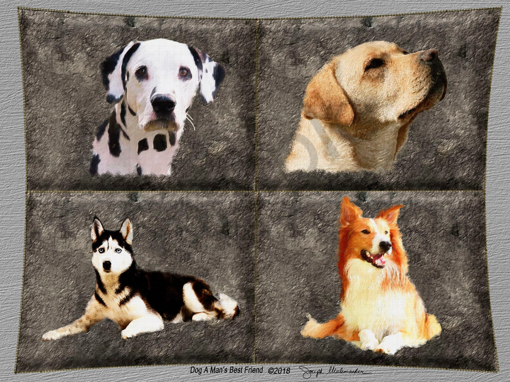 Dog Art Canvas Print - The Gallery Wrap Store