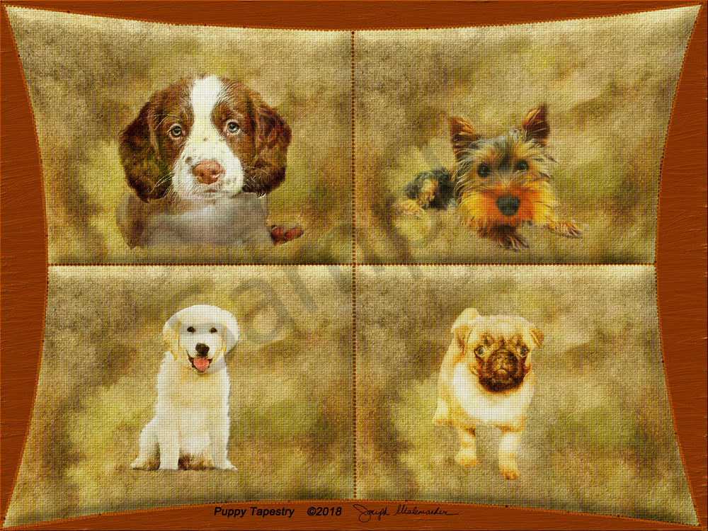Dog Art - The Gallery Wrap Store