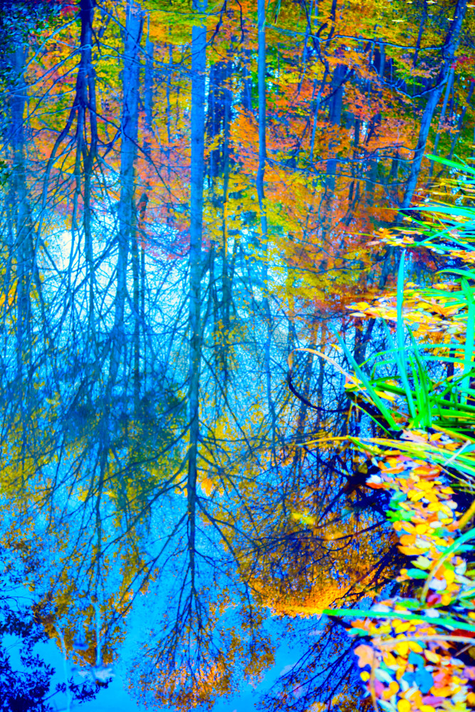 Fall Pond Reflection|Fine Art Photography by Todd Breitling|Trees and Leaves|Todd Breitling Art