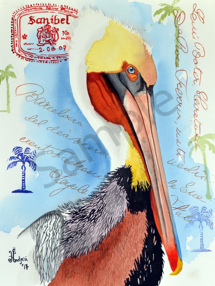 Sanibel Brown Pelican
