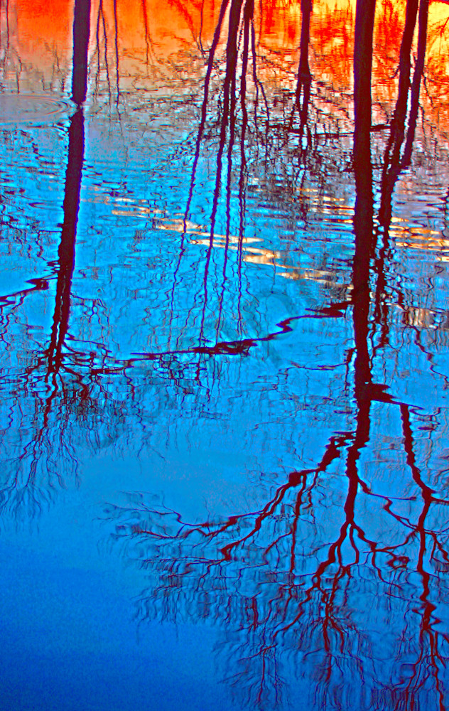 Spring Reflection|Fine Art Photography by Todd Breitling|Trees and Leaves|Todd Breitling Art|