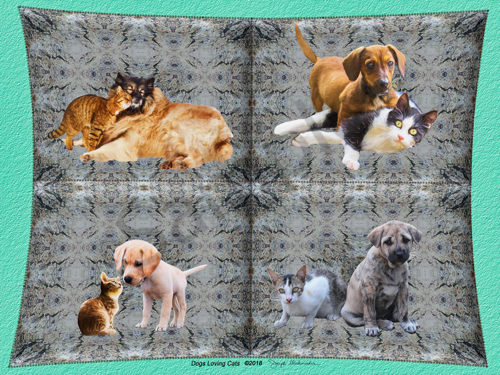Dogs Loving Cats - The Gallery Wrap Store