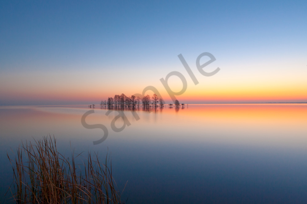 Beautiful Nature Images Art Print by Robbie George – Serene Nature Captured