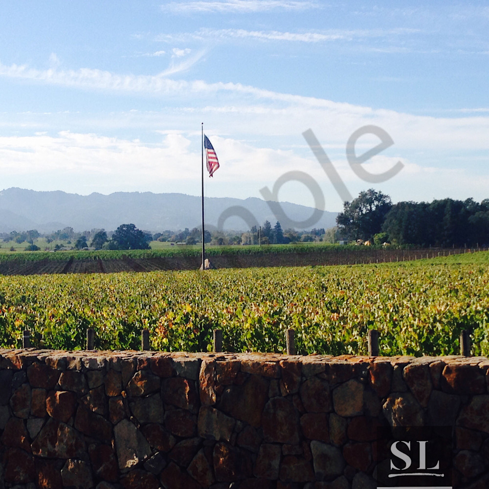 Wine Country Photography Art | slgparrish