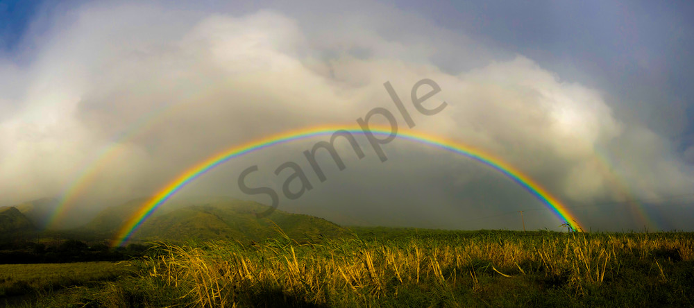Maui Rainbow 009