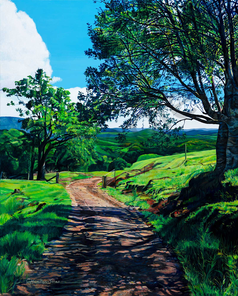 Maleny Farm Track Maleny Farm Track