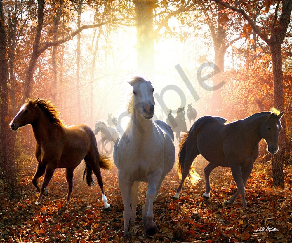 "The King Is Coming" by Bill Stephens | Prophetics Gallery "The King Is Coming" by Bill Stephens | Prophetics Gallery