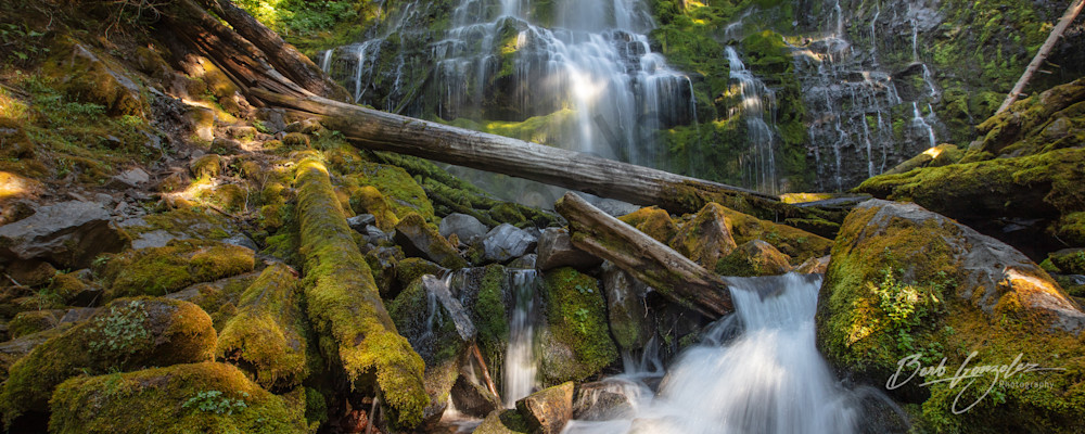 Pano photo of Proxy falls and creek fine art photo for sale | Barb Gonzalez Photography