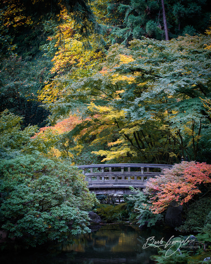 Bridge in Autumn Fine Art Photo of Portland Japanese Gardens for sale by Barb Gonzalez Photography