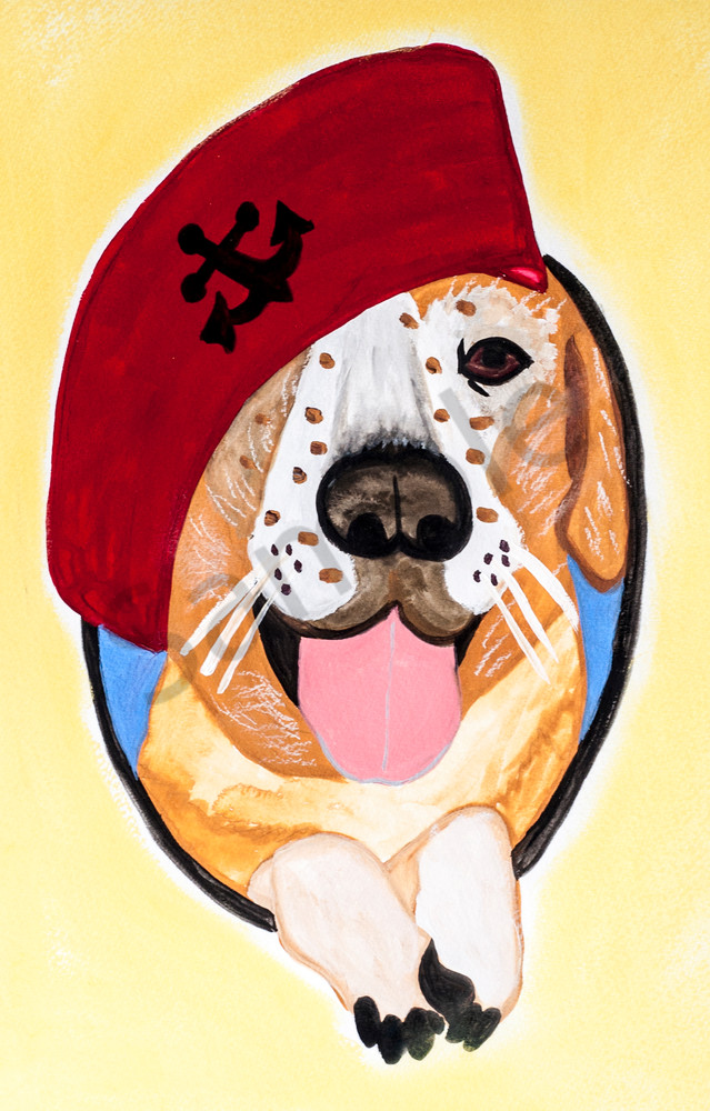 Pirate Dog 3 Art | arteparalavida