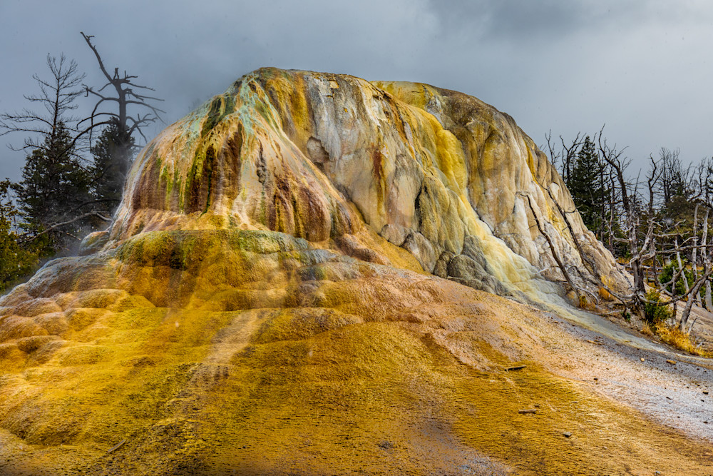 Fountain Pots: Yellowstone National Park - by Curt Peters
