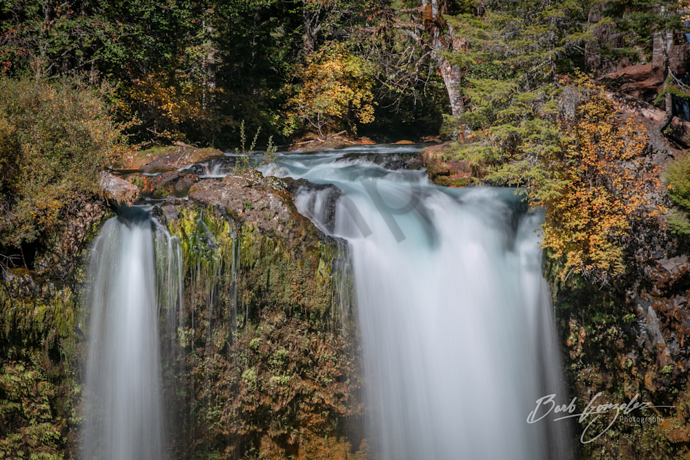 Koosah Falls in Autumn Photo for Sale by Barb Gonzalez Photography