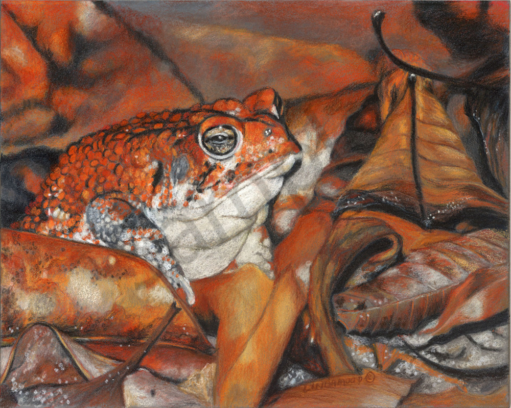 Camouflage Amphibian Style Art | Lindamood Art