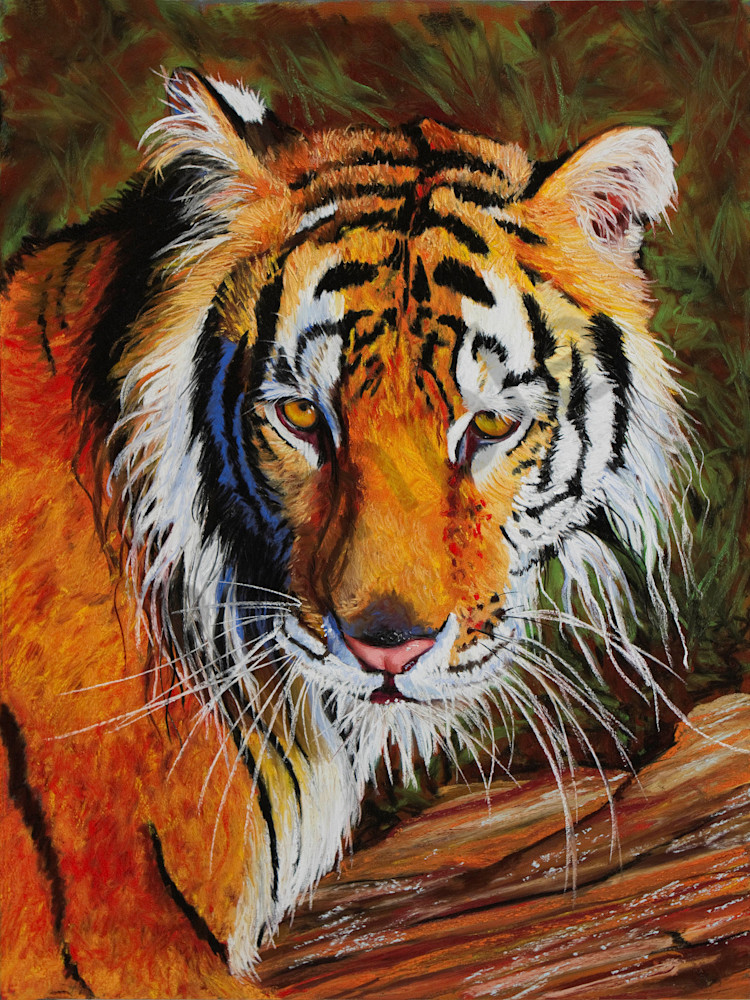 Tiger Tiger Burning Bright Art | Lindamood Art