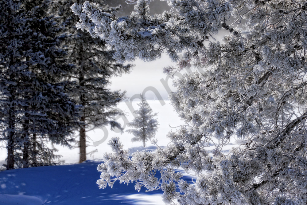 Snow Scene Wall Art | Robbie George Photography Snow Scene Wall Art | Robbie George Photography