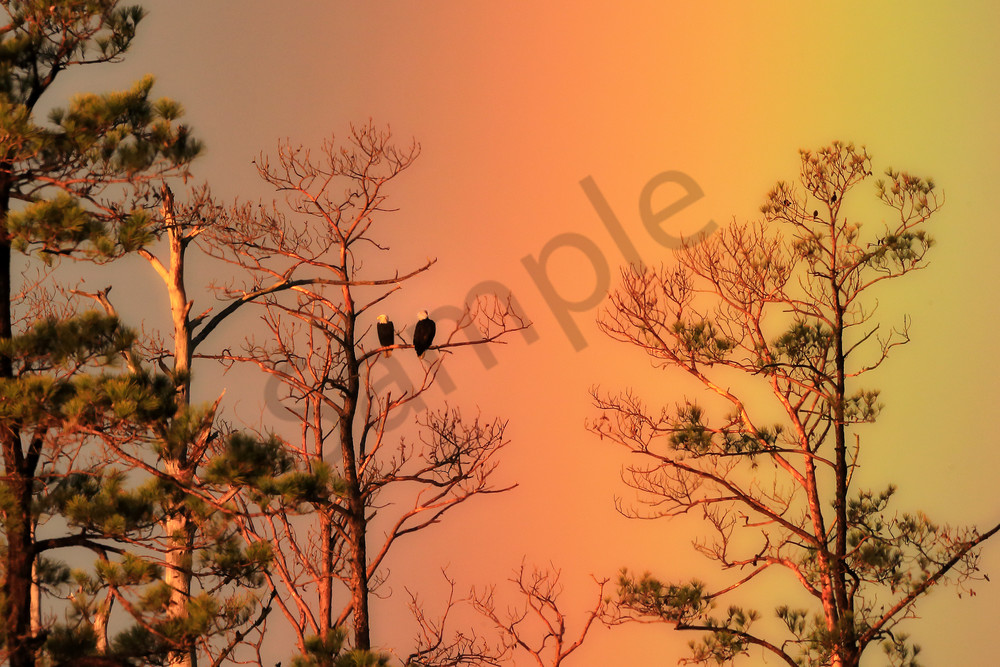Rainbow | Robbie George Photography