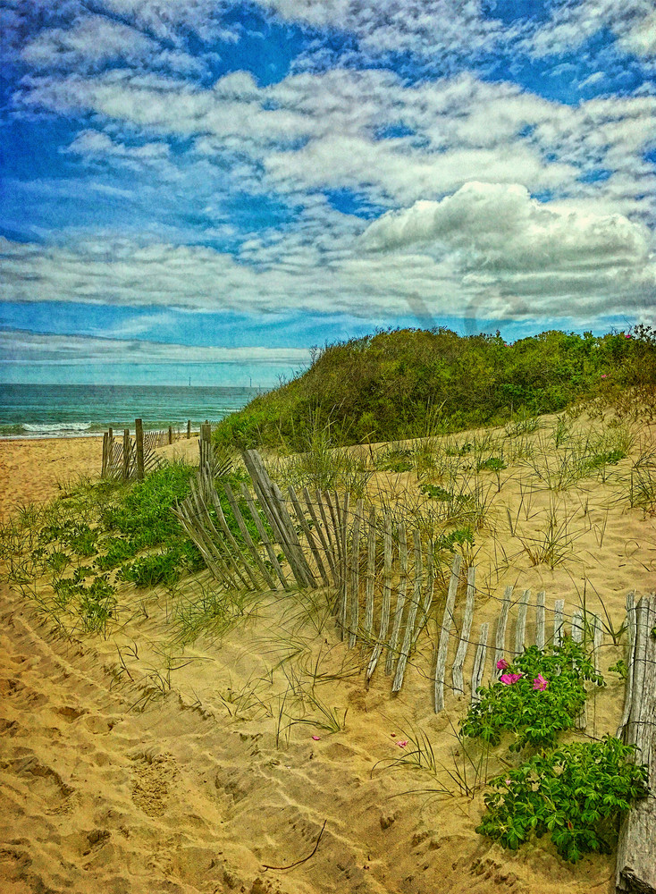 Fence in the Dunes|Fine Art Photography by Todd Breitling