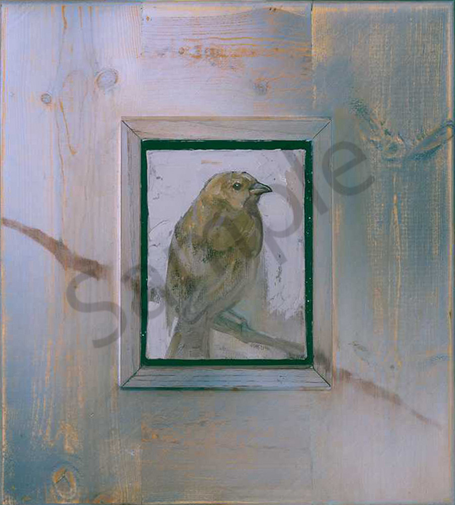 Cowbird On A Branch Art | Mary Roberson