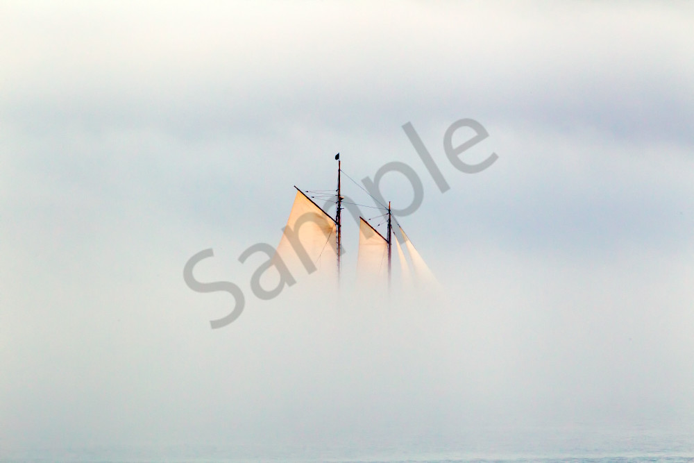 Sail | Robbie George Photography