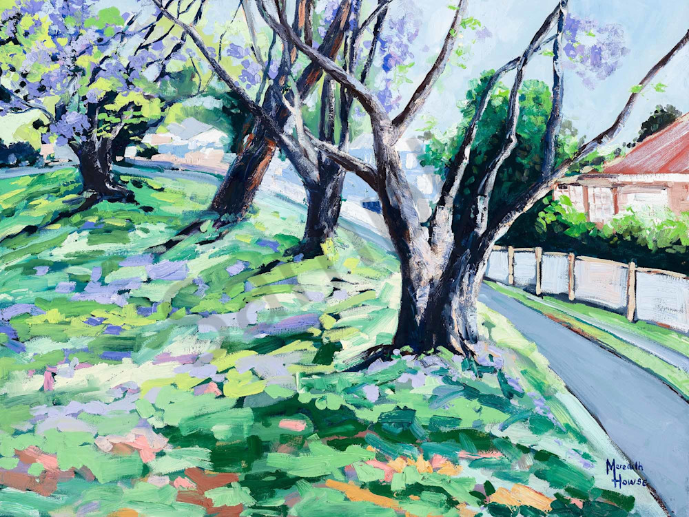 Jacarandas - Wednesday on Woonga Jacarandas - Wednesday on Woonga