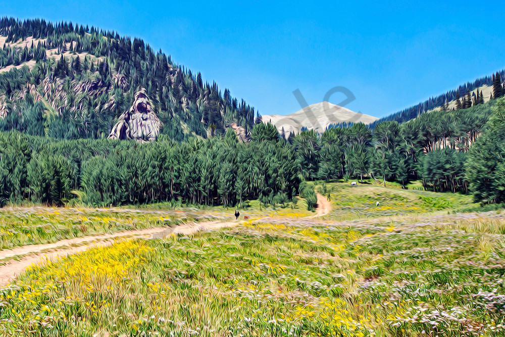 Country roads through alpine meadows-shop art/masonandmasonimages.com
