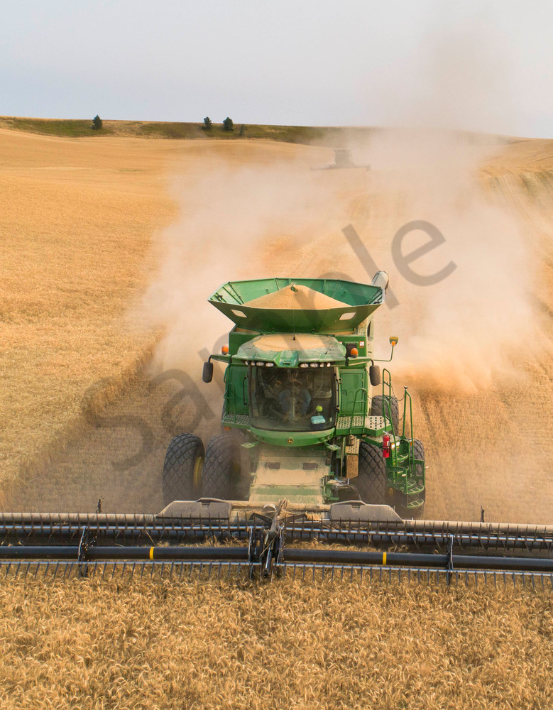 Combine harvesting Soft White, Spokane County, WA
