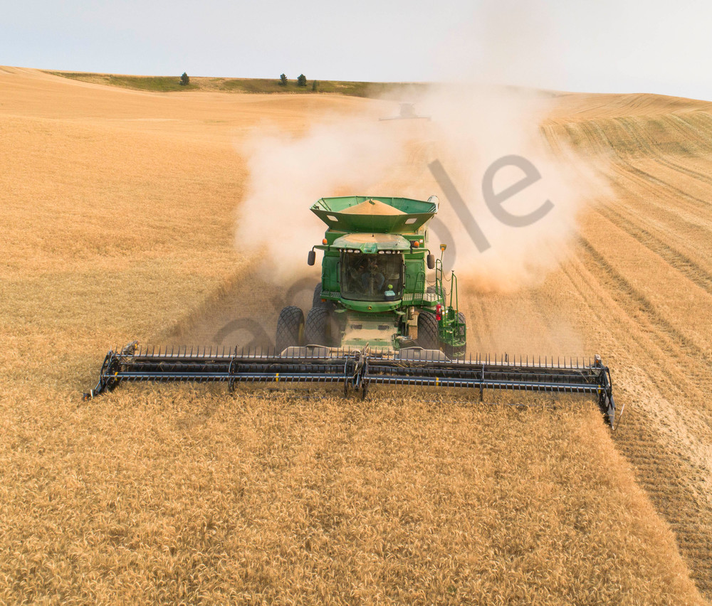 Aerial view of Soft White wheat being harvested in eastern, Washington