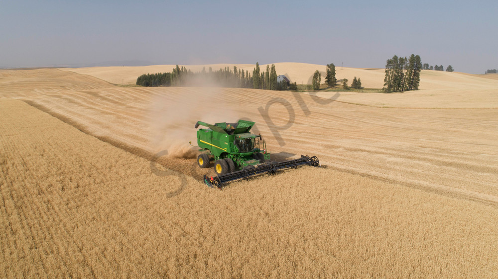 Aerial view of a John Deere combine cutting wheat on a sunny afternoon, Spokane County, Washington