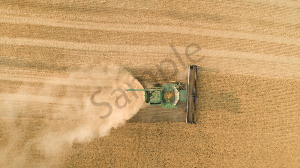 Aerial view of a combine harvesting Soft White wheat in the Palouse region of eastern Washington