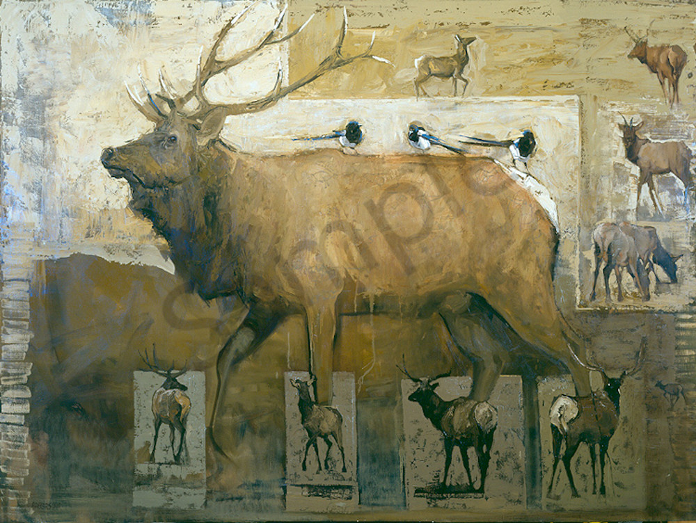 Magpies With Bull Elk Art | Mary Roberson
