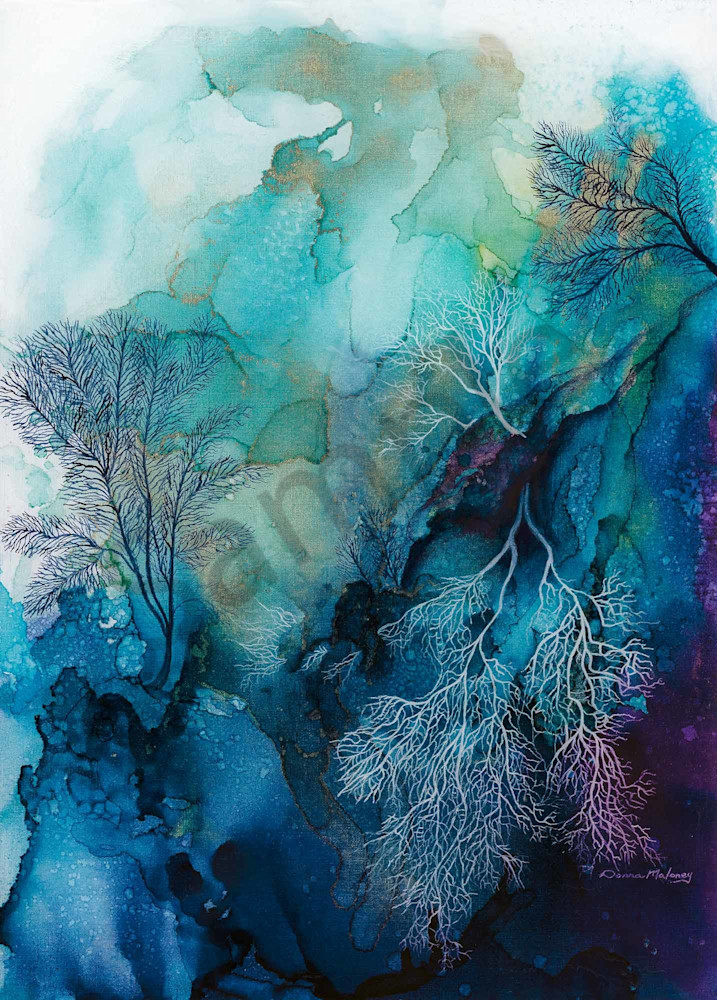 Coral Reef 3 Coral Reef 3