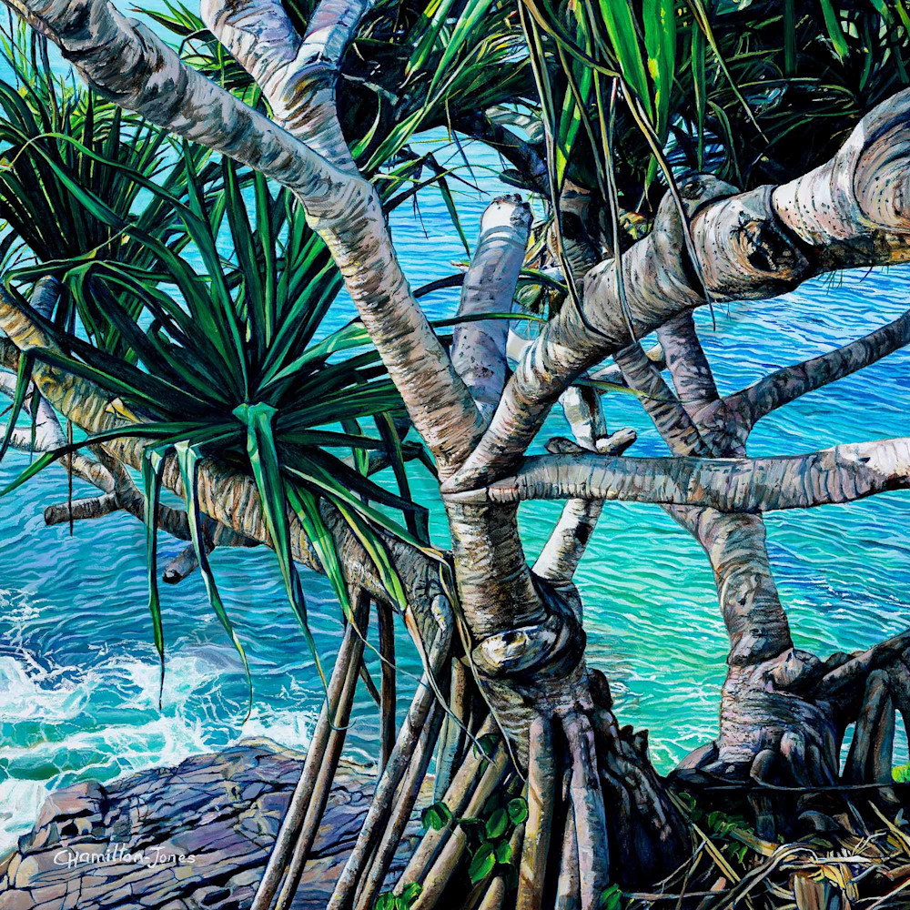 Boiling Pot Pandanus Boiling Pot Pandanus