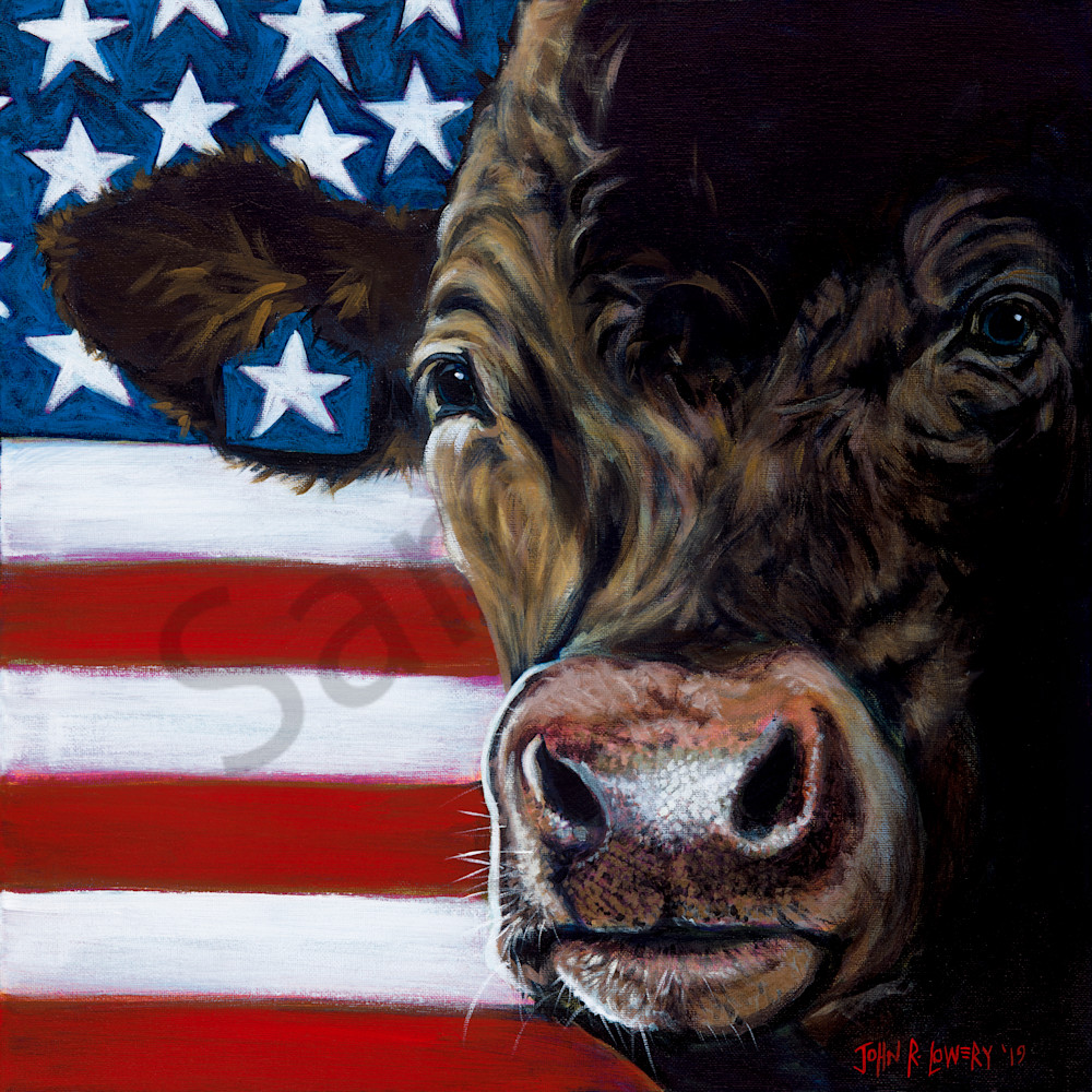 Cow and flag paintings by John R. Lowery, for purchase as art prints.