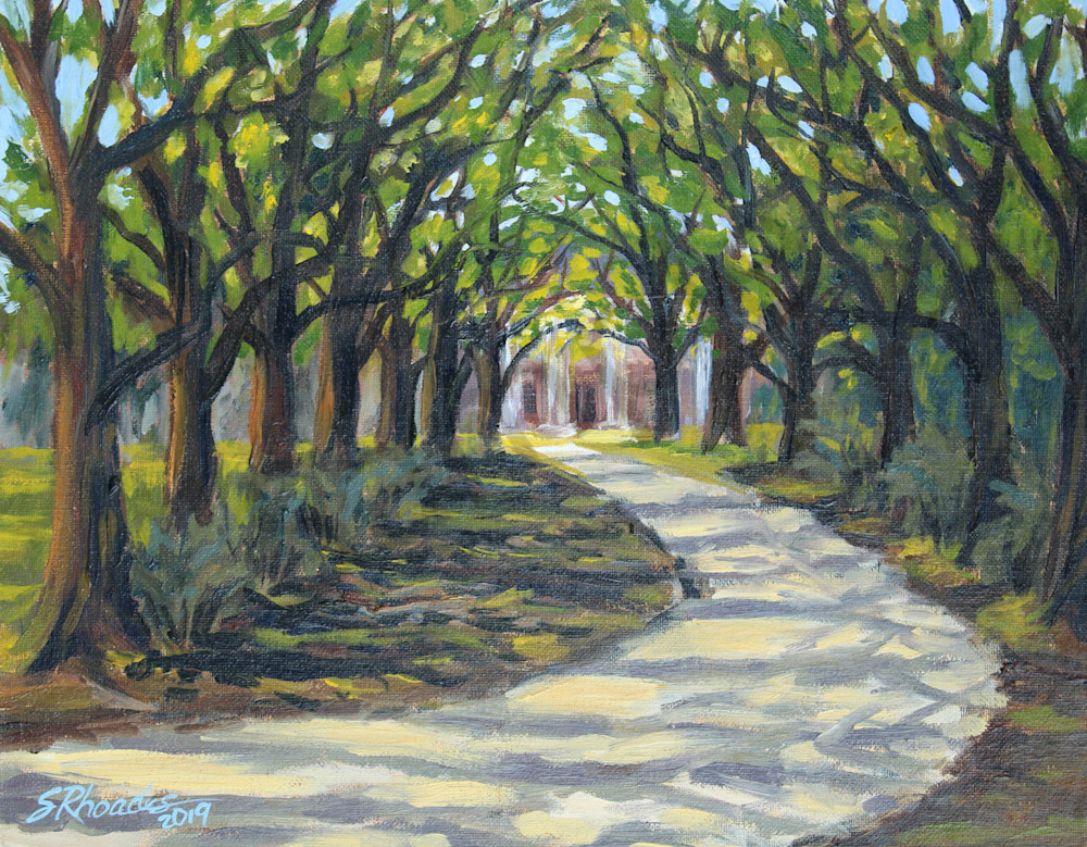 Landscape Plantation Live Oaks Oak Lined Road Baton Rouge Louisiana White Oak Plantation