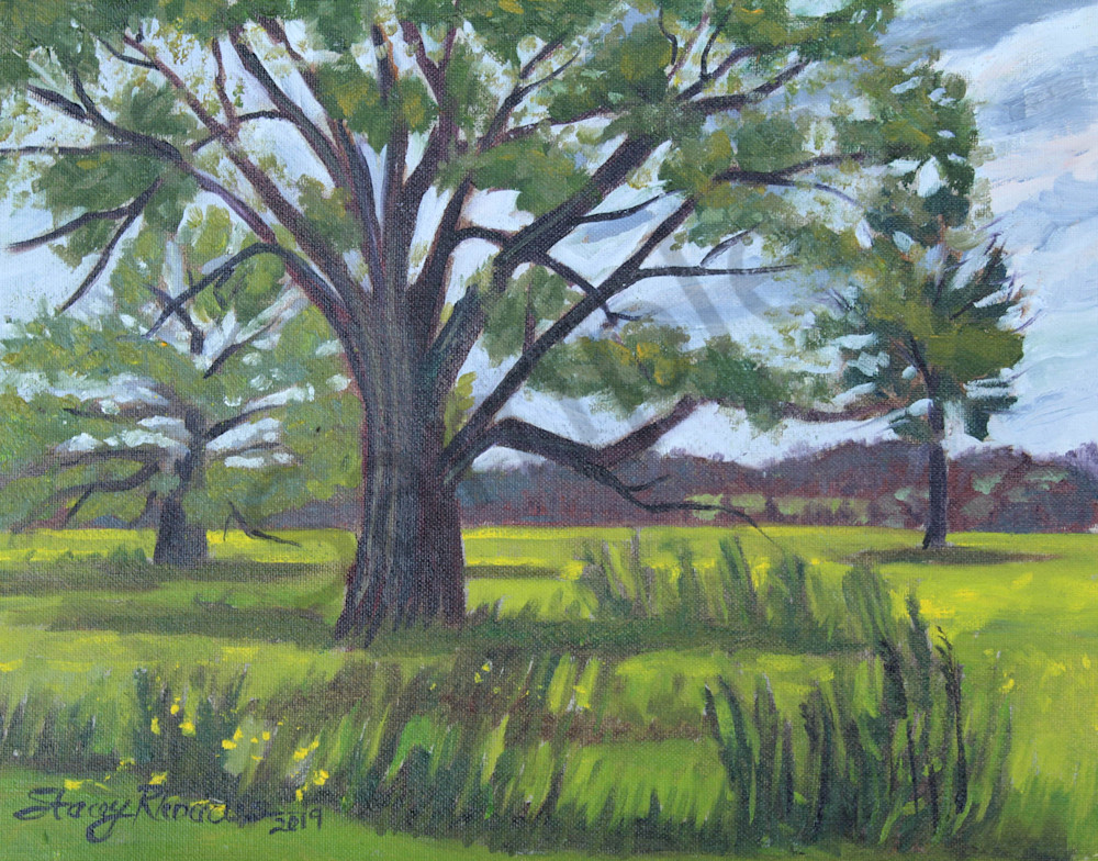 Landscape Live Oak Trees Louisiana Oil Painting En Plein Air
