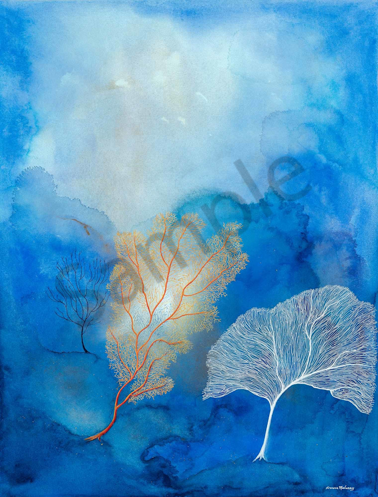 Deep Coral Reef 3. Deep Coral Reef 3.