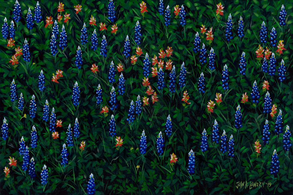 Texas wildflower painting