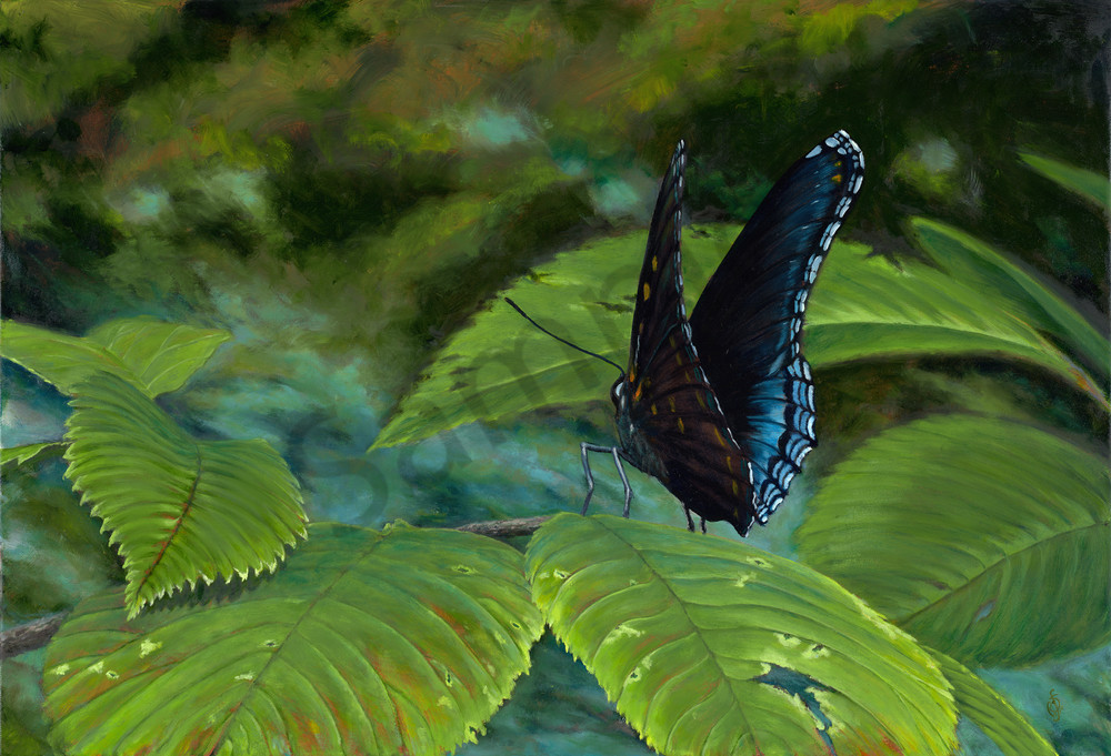 Red Spotted Purple Butterfly Oil Painting & Prints