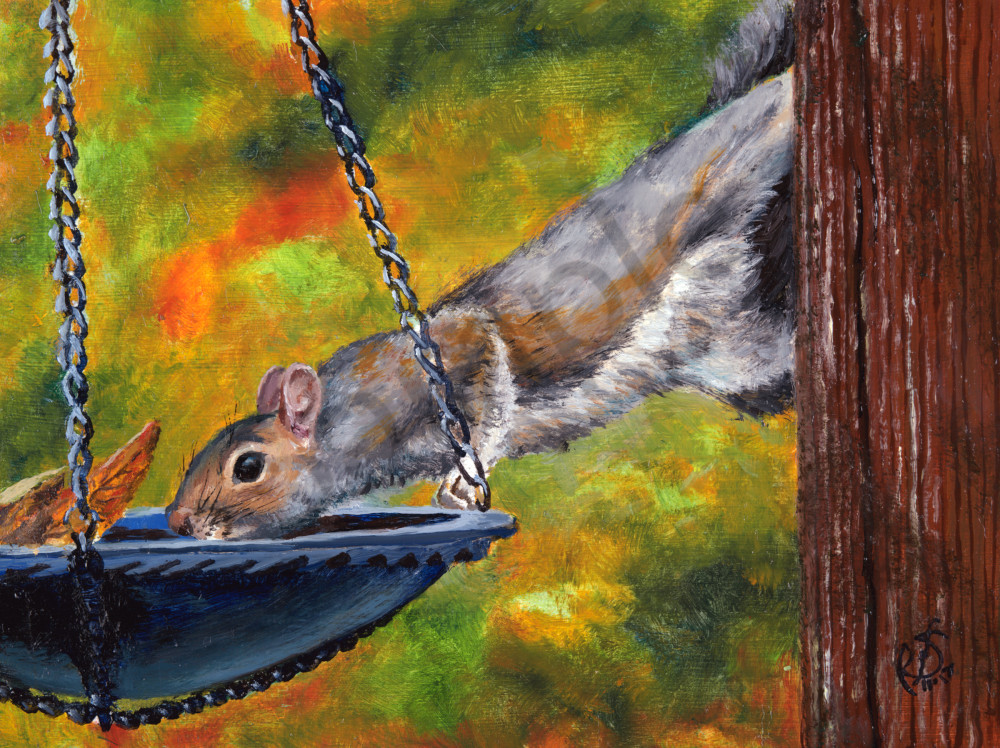 StretchZippy, 11/26/12, 11:50 AM,  8C, 7808x10065 (0+0), 100%, Custom,  1/60 s, R51.1, G8.8, B26.0
