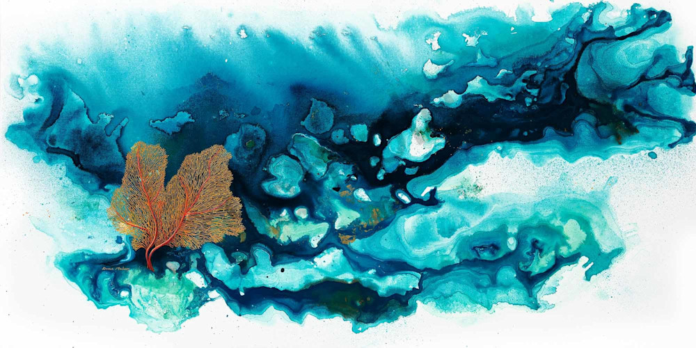 Tropical Coral Reef 4 Tropical Coral Reef 4