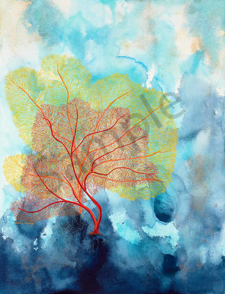 Tropical Coral Reef 2 Tropical Coral Reef 2